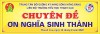 Chuyên đề: Ơn nghĩa sinh thành