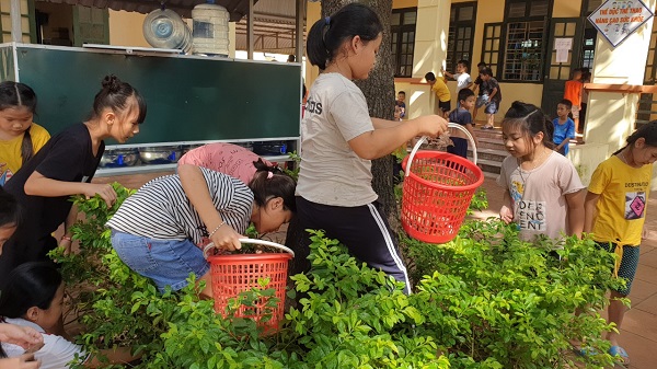 Công tác chuẩn bị cho năm học mới của liên đội Trường TH Thanh Cao