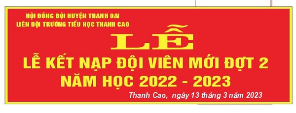 Lễ kết nạp Đội viên mới đợt 2 năm học 2022 - 2023